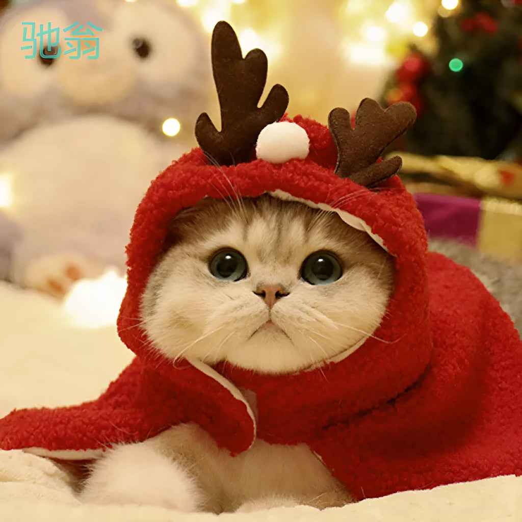 Red polar fleece dog cloak with integrated antlers hat on a small dog.