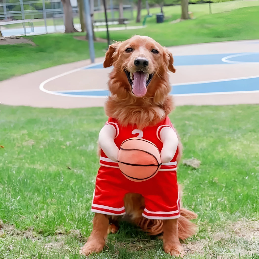 Red or yellow dog basketball costume with matching ball toy, shown in small, medium, and large pet sizes.
