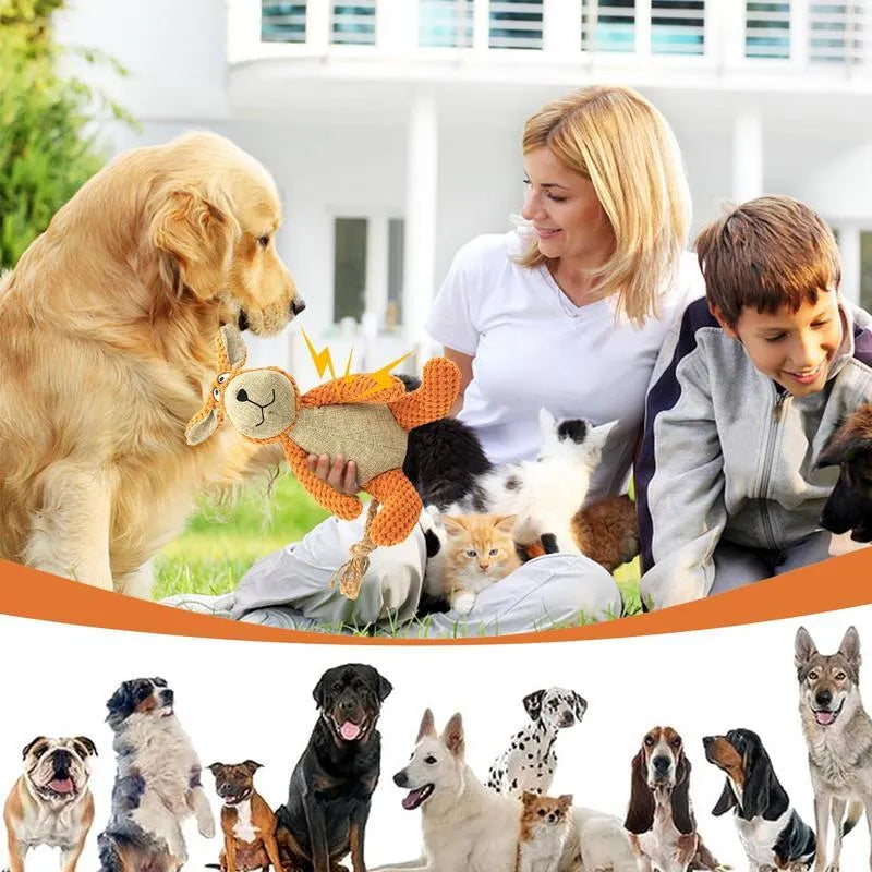 Four animal-shaped dog plush toys with squeakers: donkey, elephant, orangutan and rabbit designs