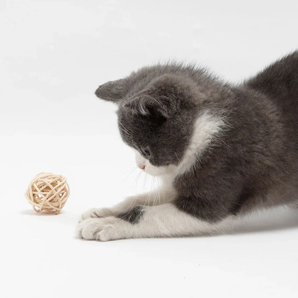 Two-piece cat toy set showing rattan ball with bell and faux feather ball in primary colours