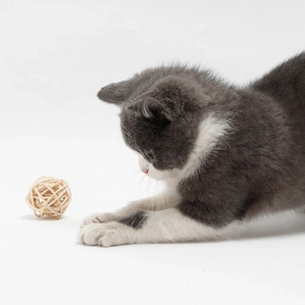 Two-piece cat toy set showing rattan ball with bell and faux feather ball in primary colours