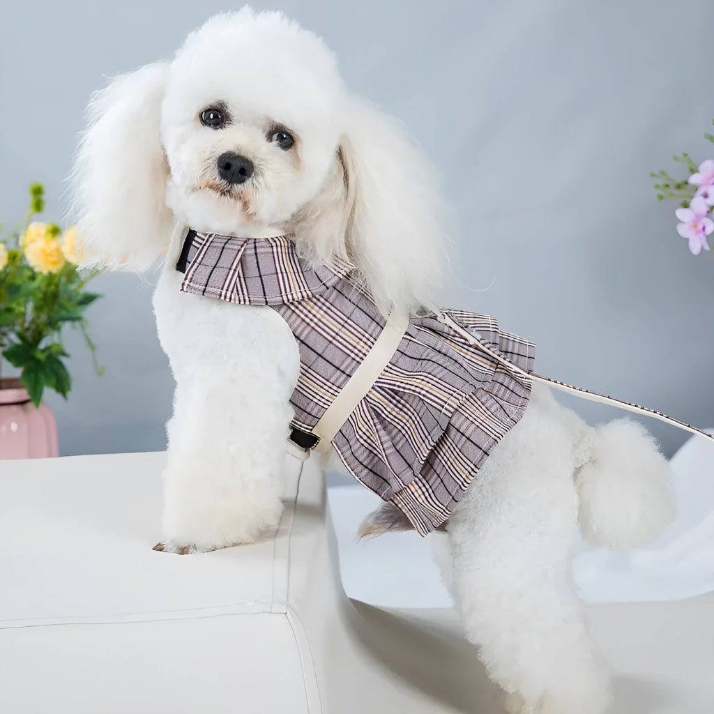 Polyester pet vest with chest strap design and integrated hand-holding rope in beige or purple colour options