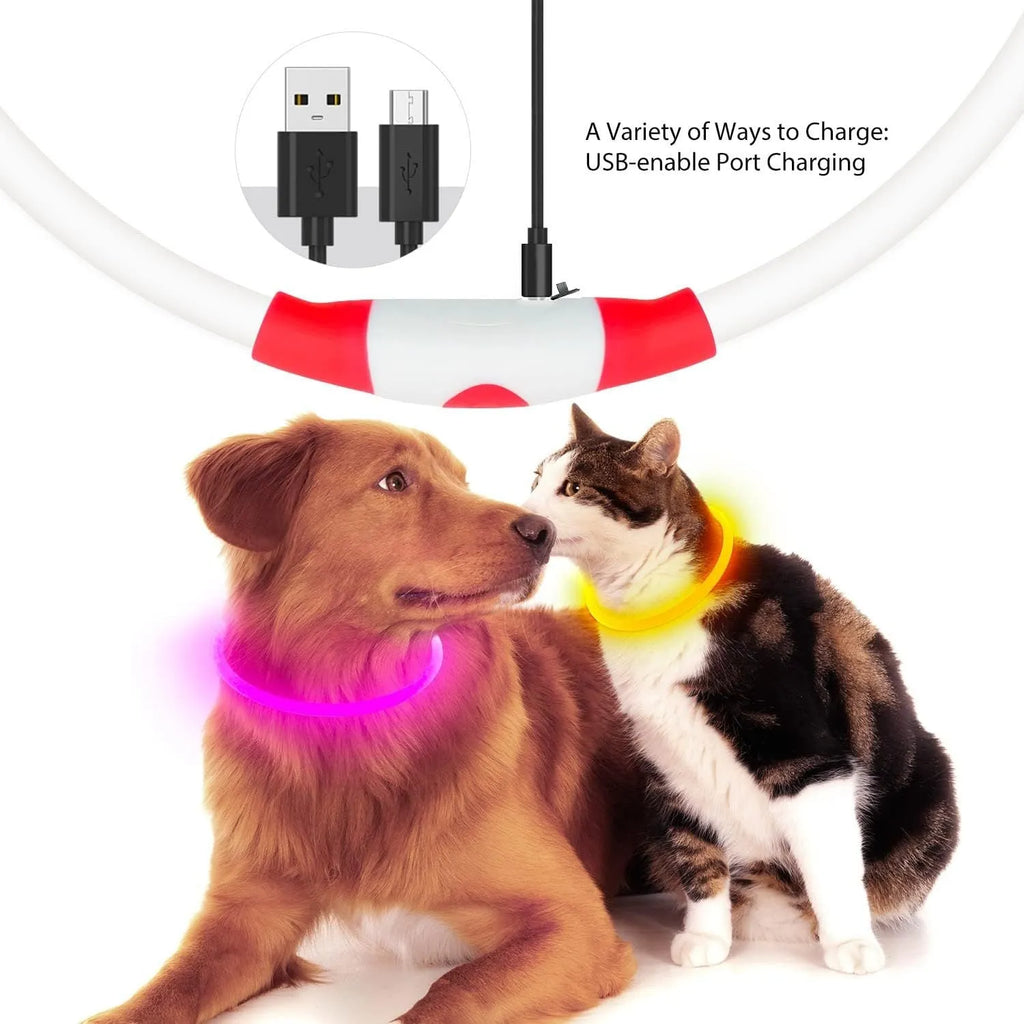 USB rechargeable LED dog collar glowing blue with adjustable TPU strap and ABS light housing