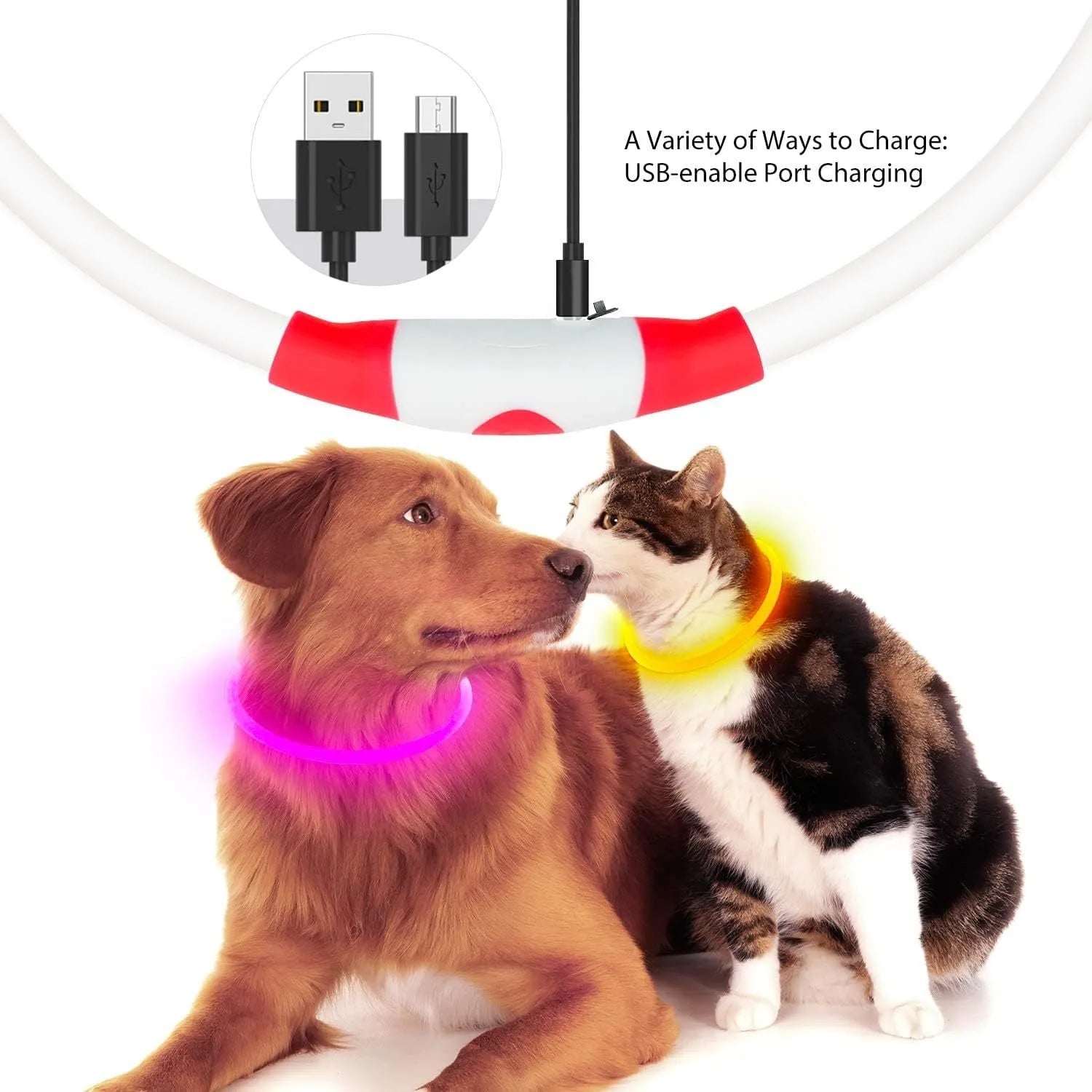 USB rechargeable LED dog collar glowing blue with adjustable TPU strap and ABS light housing
