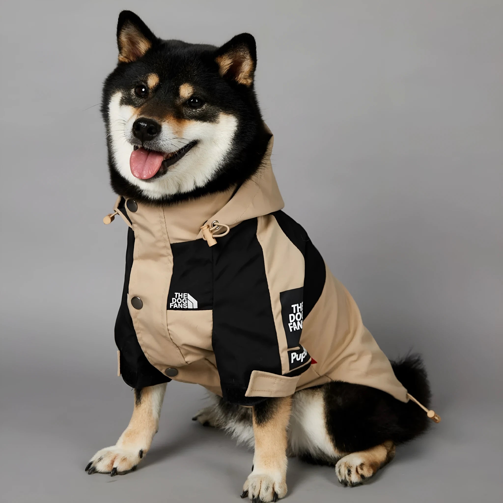 Khaki coloured polyester dog shell jacket shown on a model dog.