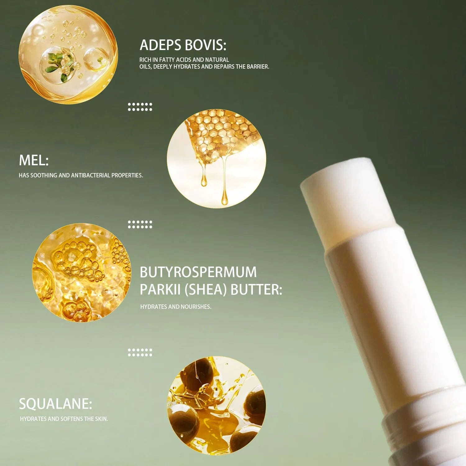 Beef tallow lip balm stick in a silver case, 83mm long, showing the twist-up mechanism.