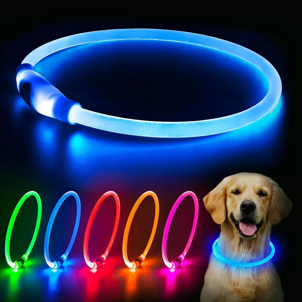USB rechargeable LED dog collar glowing blue with adjustable TPU strap and ABS light housing
