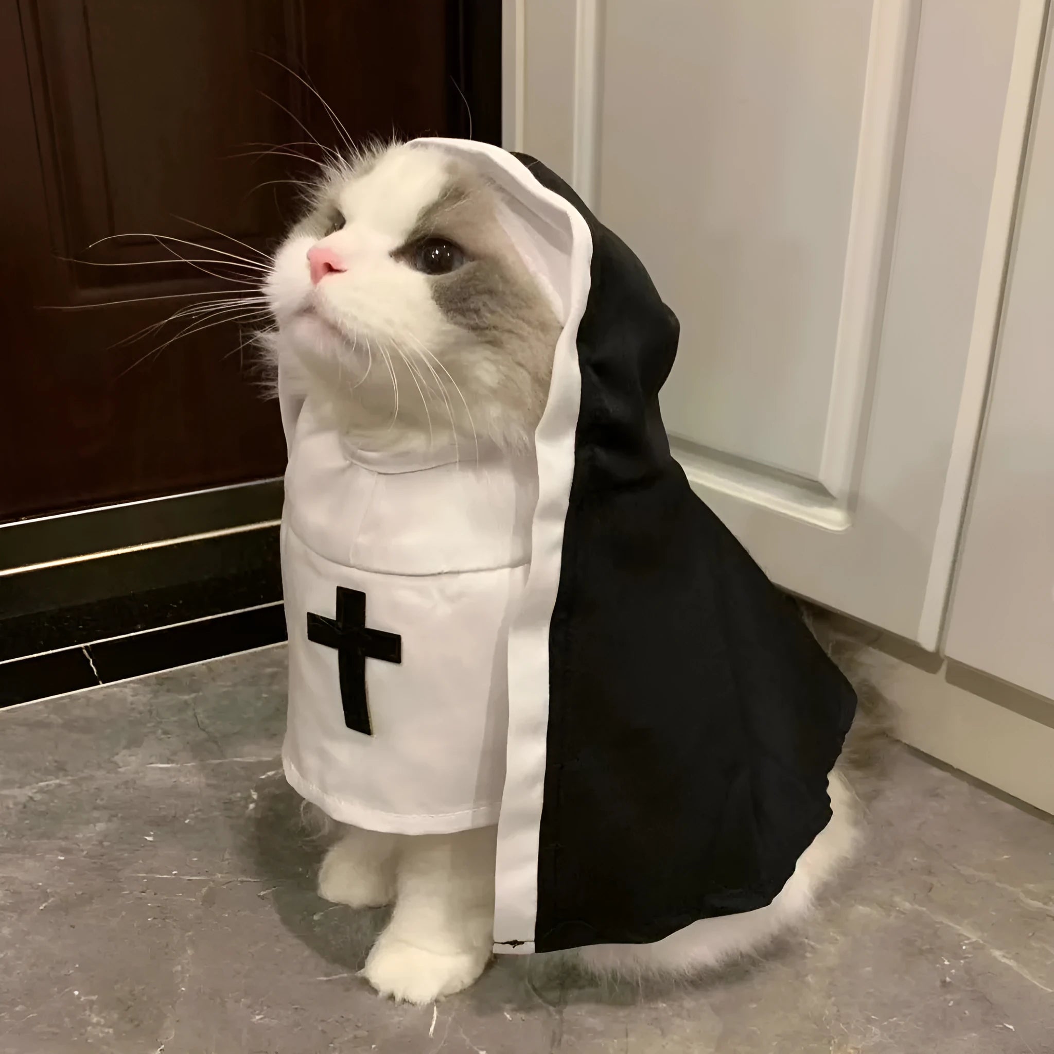 Black and white nun costume for small or medium dog with cloak design