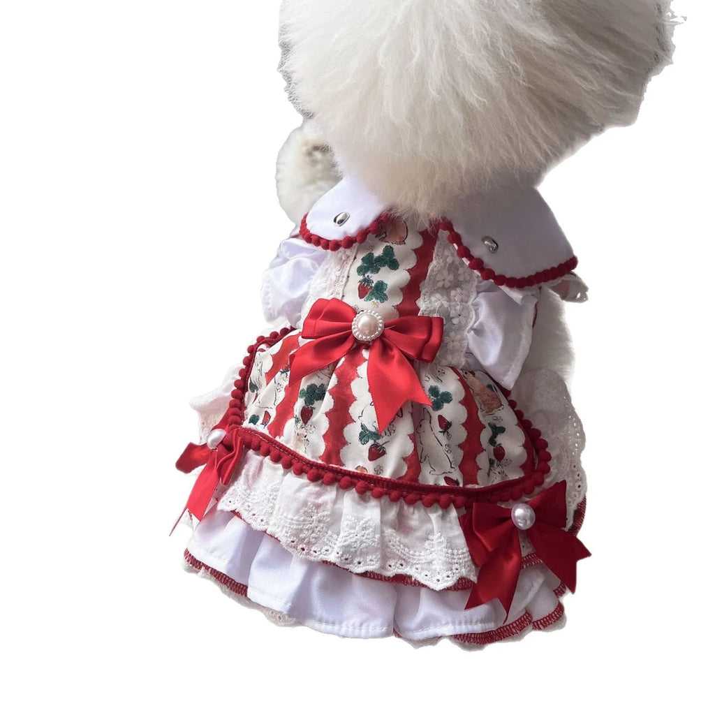 Small white dog wearing a princess-style rabbit skirt costume made of polyester fabric.
