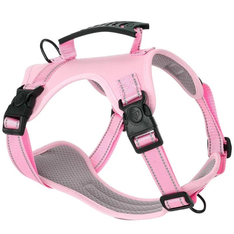 A dog wearing a blue adjustable chest harness with an attached lead, shown in a size large.