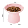 Blue ceramic elevated cat bowl with wide shallow design for food or water