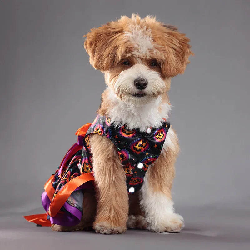 Halloween dog skirt with colourful pumpkin or skull design in polyester