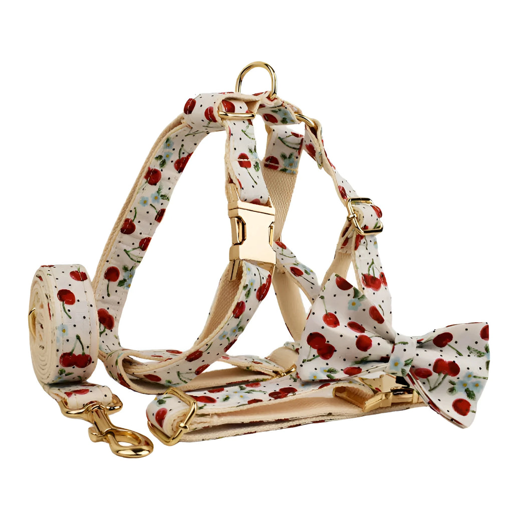 Red cherry print pet collar set with matching leash, vest, and gold buckle on dog model