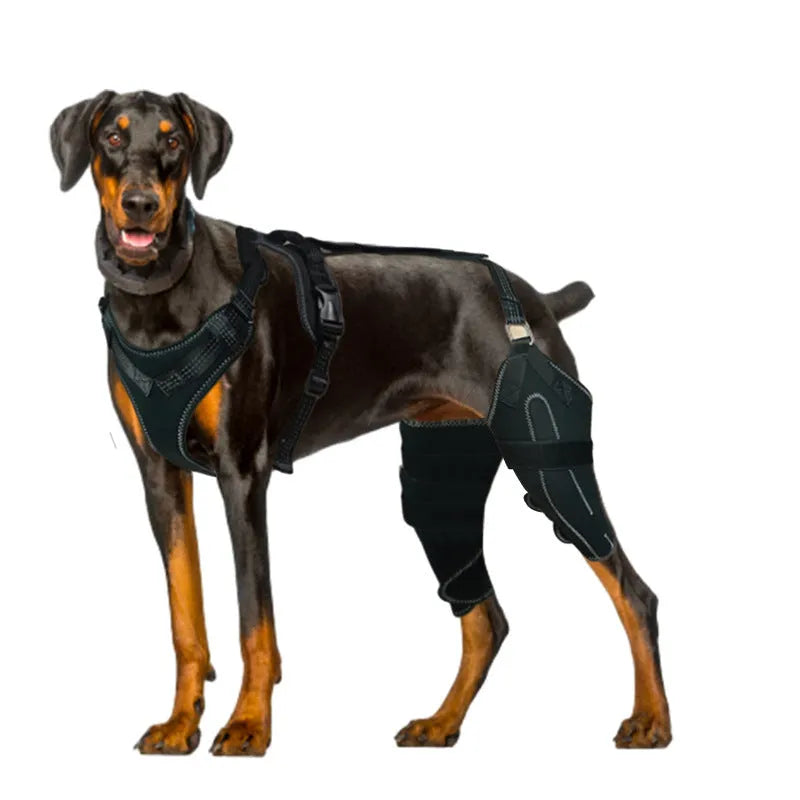 Black dog thigh protective sleeve with adjustable metal support and hook and loop fasteners