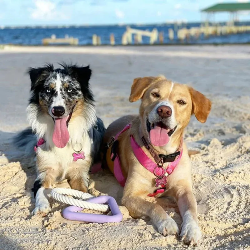 Large triangular cotton rope pull ring dog toy in beige, pink, and purple colour options