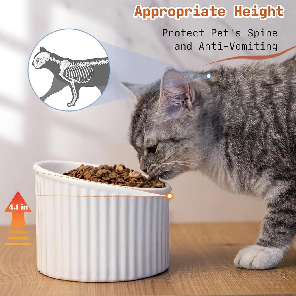 Ceramic elevated cat bowl in light green colour, showing its raised height and round, whisker-friendly shape.