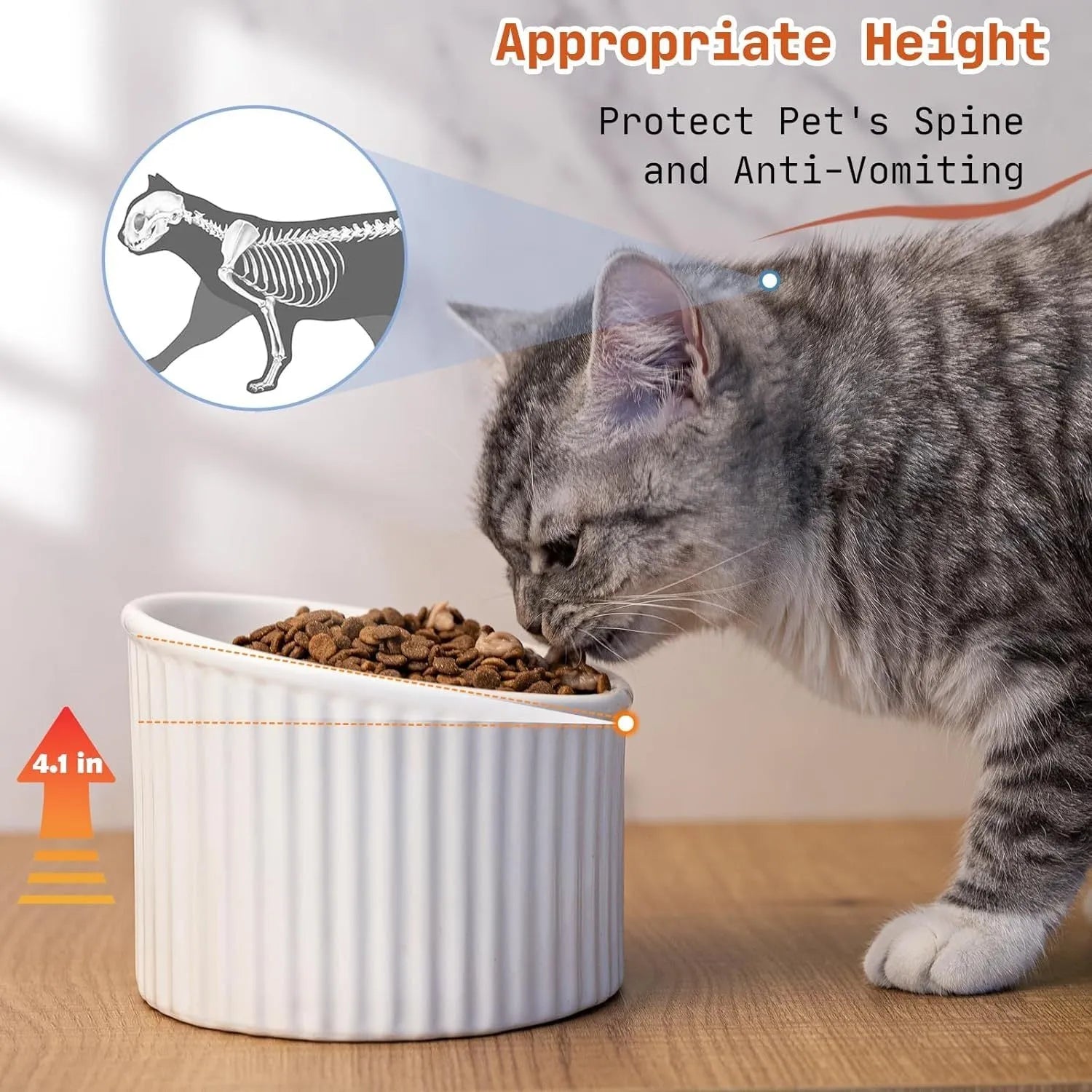 Ceramic elevated cat bowl in light green colour, showing its raised height and round, whisker-friendly shape.
