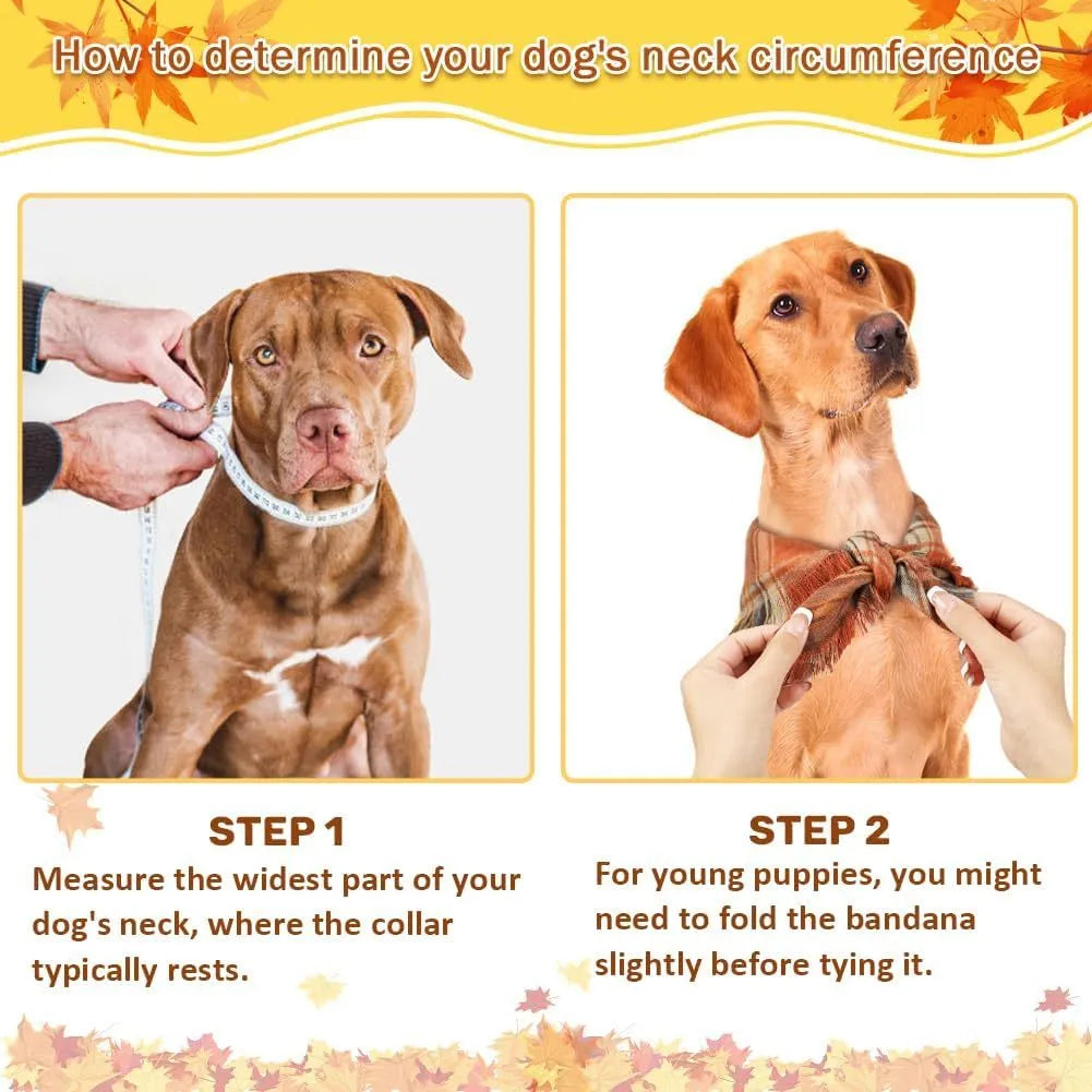 Autumn plaid dog bandana with tassel edges in seasonal colours