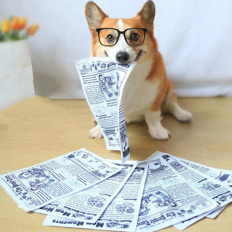 Tearproof rubber dog toy with playing card designs J, K, Q and newspaper motif with squeaking sound feature