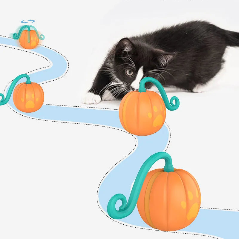 Electric cat toy with luminous ball in pumpkin or watermelon design pattern for interactive pet play
