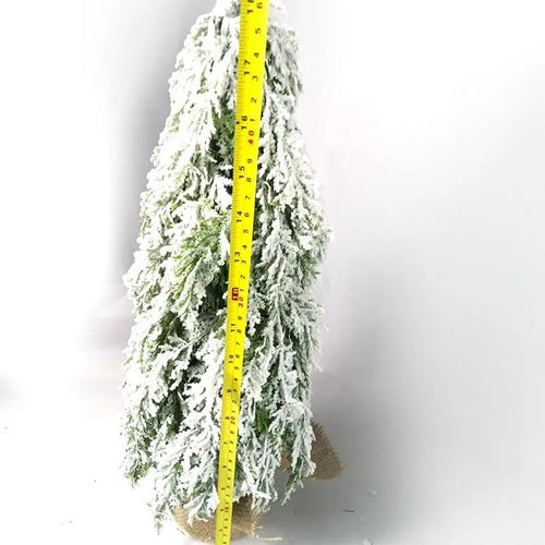 Small 24-inch white snow spray Christmas tree with integrated lights on desktop