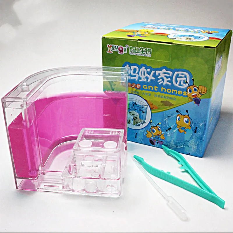 Ant Workshop Toys acrylic craft kit in six colours including blue, green, pink, purple, white, yellow packed in a colour box