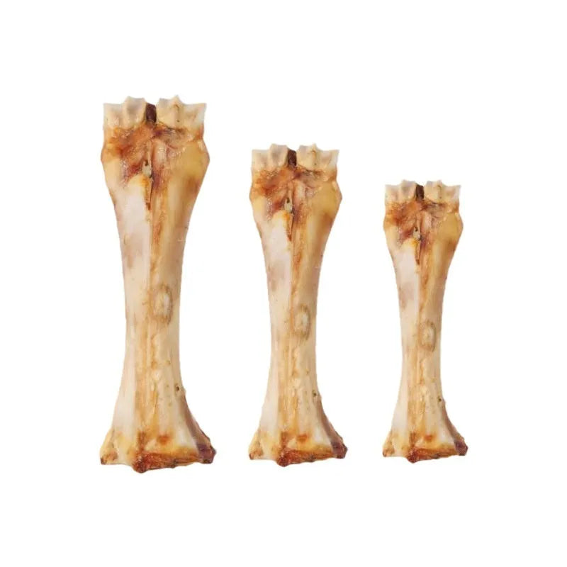 High calcium roasted ox bone flavoured molar rod chew for puppy teeth cleaning and training.