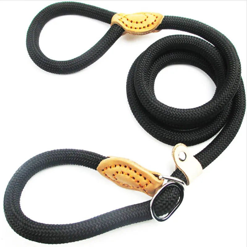 Brown nylon dog leash with a metal P-chain clip and a braided hand holding rope, shown at full 2.1 metre length.