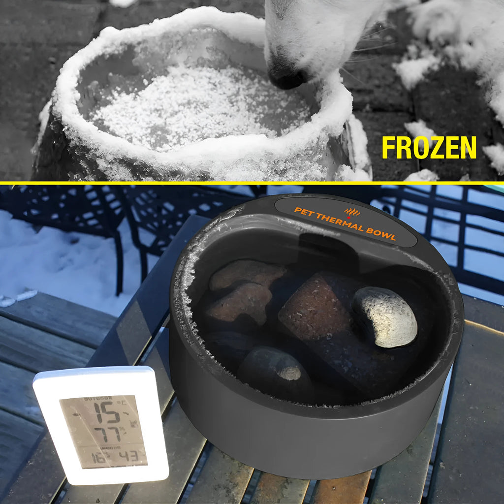 Black ABS pet heating bowl with constant temperature control for cat and dog food