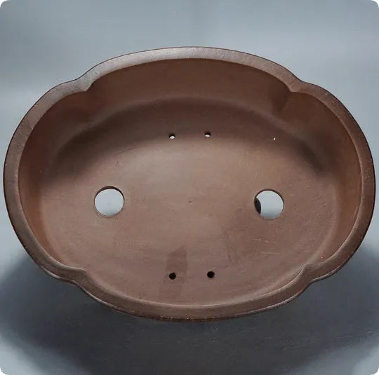 A rectangular purple clay bonsai pot with a simple classical design, shown on a tabletop.
