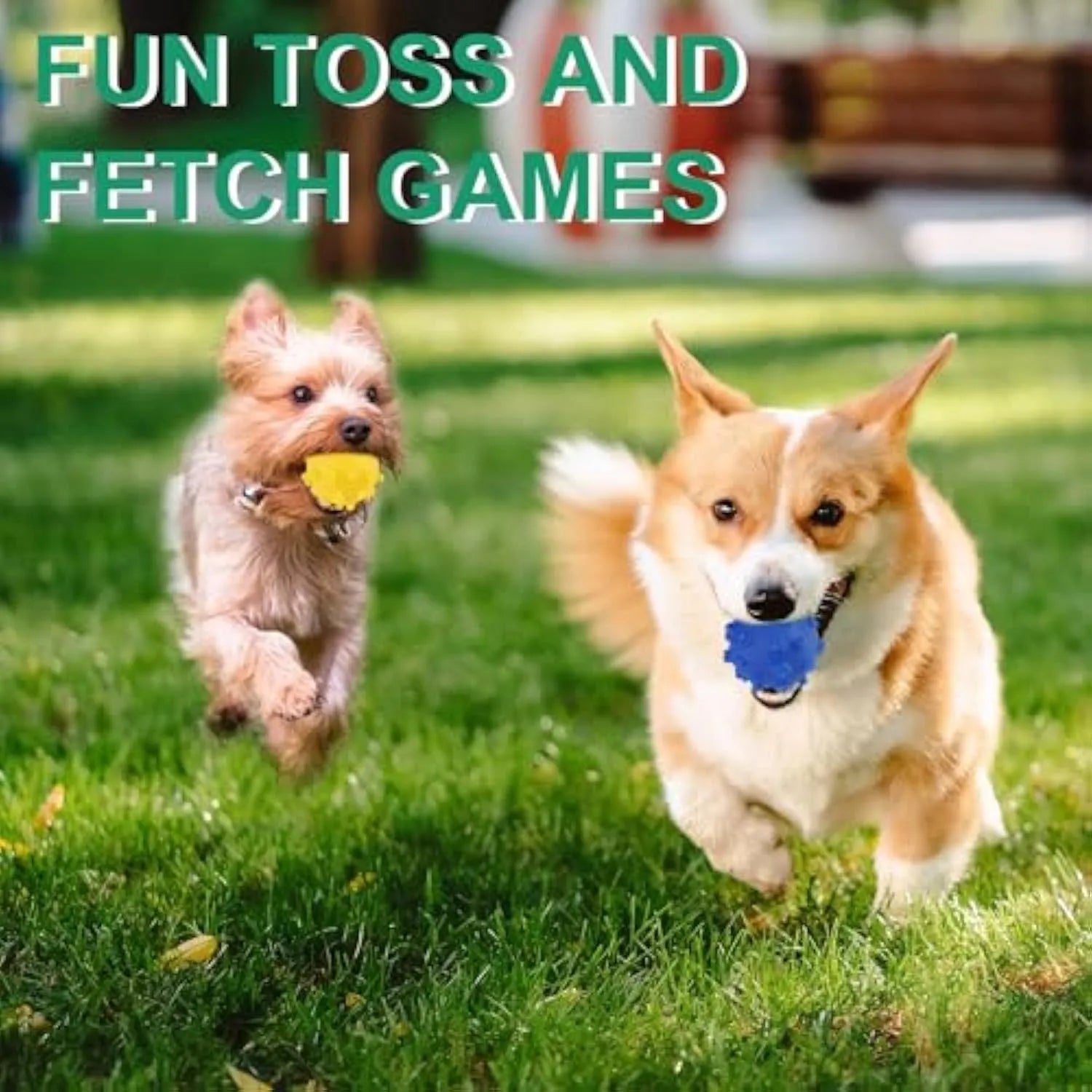Blue, green, pink, and yellow spiky dog toy balls with paw print dimples, shown next to a small dog.