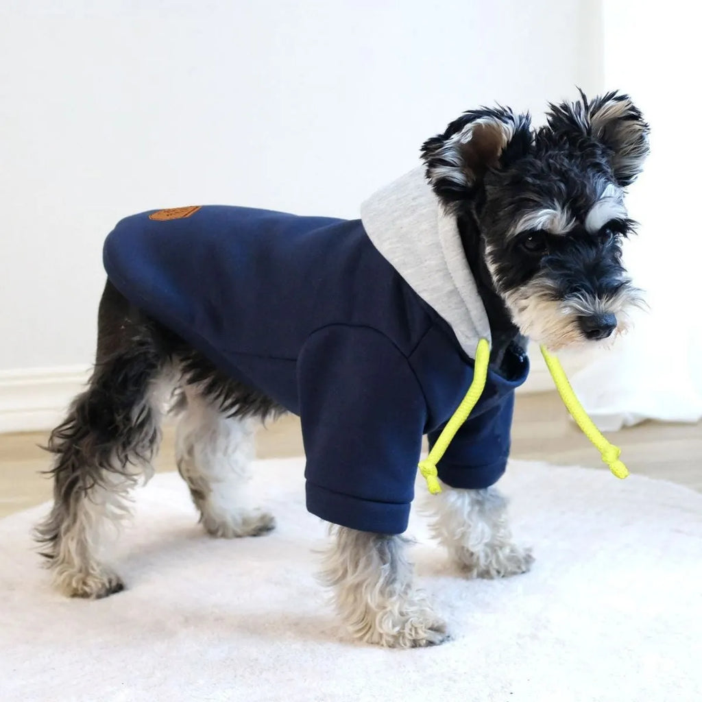 British style pet hoodie with full zip closure in dark red or navy blue with contrast stitching