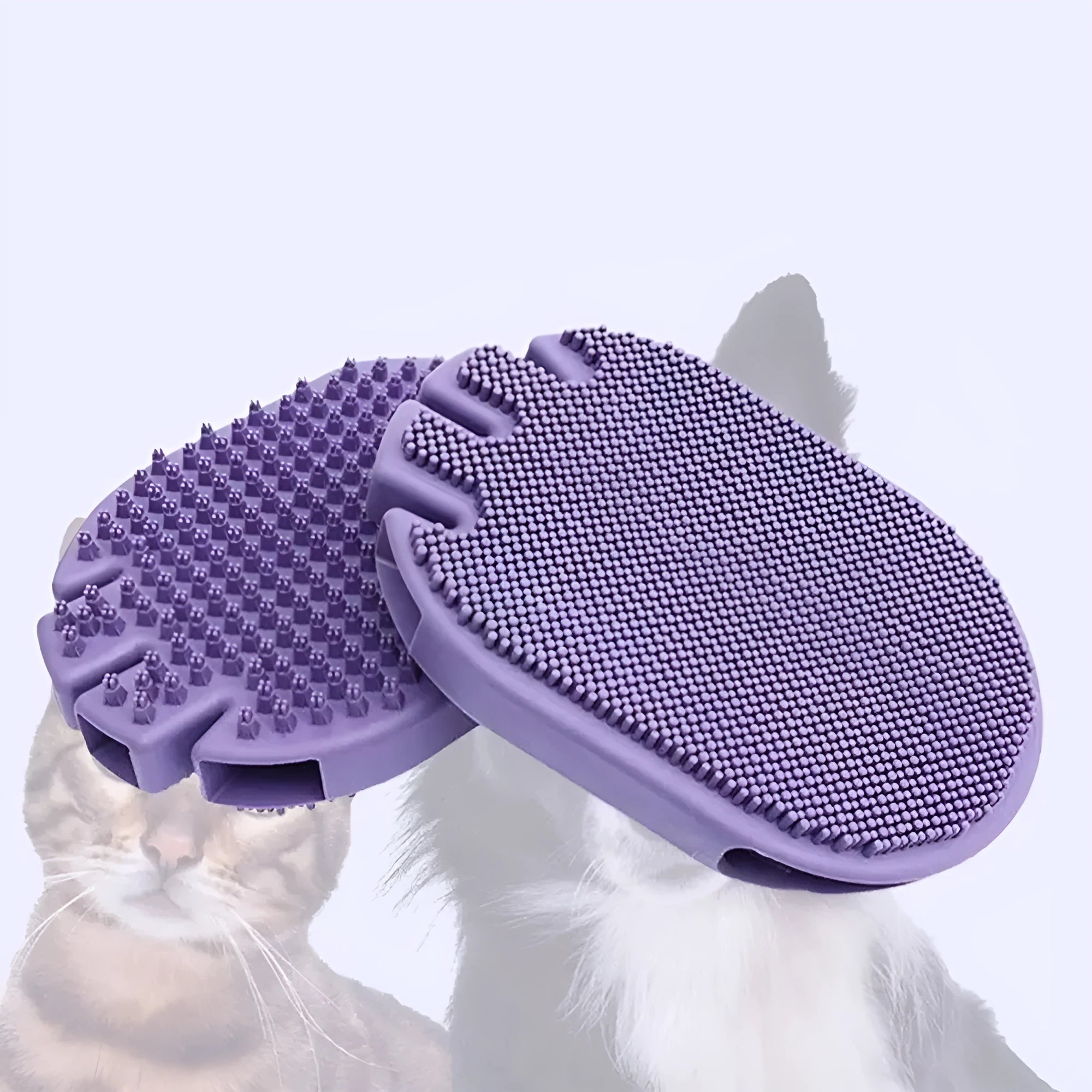 Purple pet shampoo brush with silicone bristles for dog and cat grooming during bathing