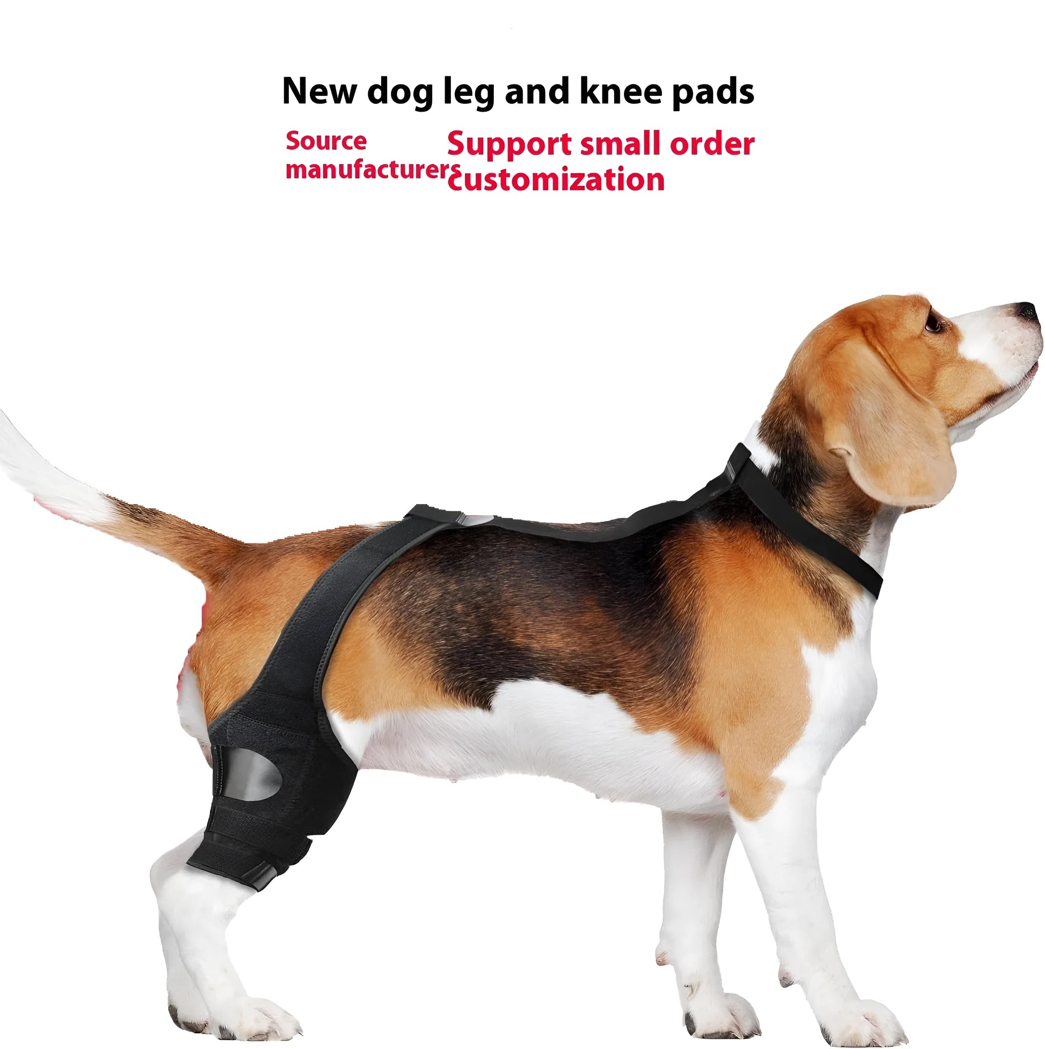 Neoprene dog knee brace support strap wrapped around canine hind leg in silver grey colour