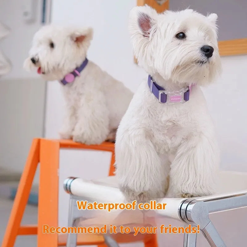 Nylon dog collar and leash set in choice of four colours with length options for pet control
