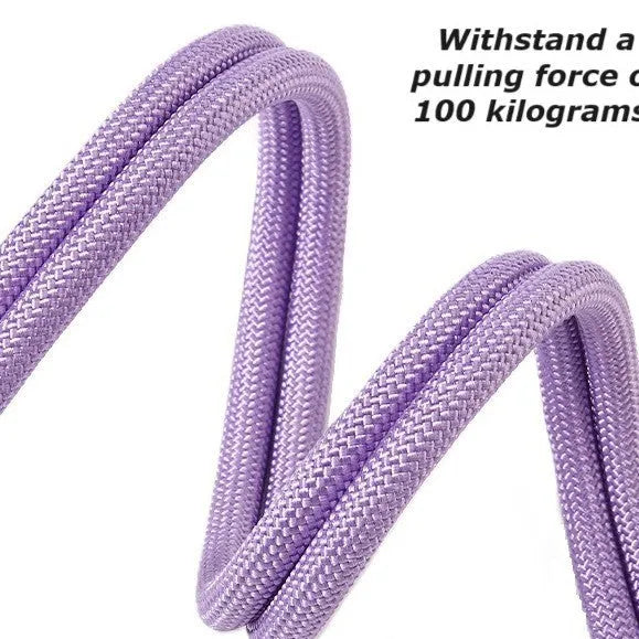 Nylon dog traction lead with foam handle in four colour options