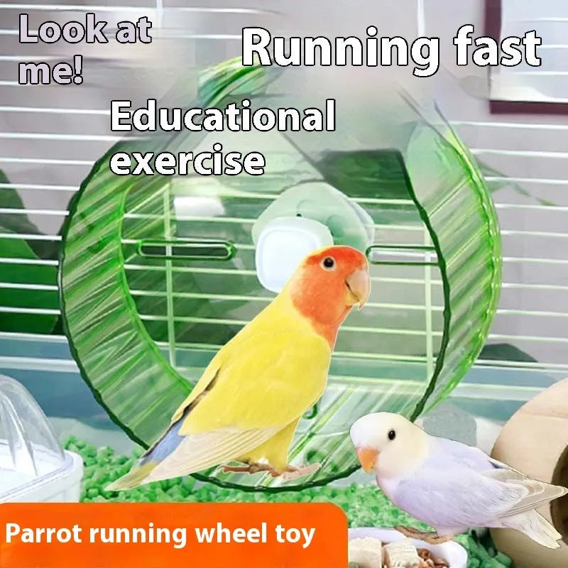 A plastic parrot exercise running wheel toy shown in a transparent colour on a white background.