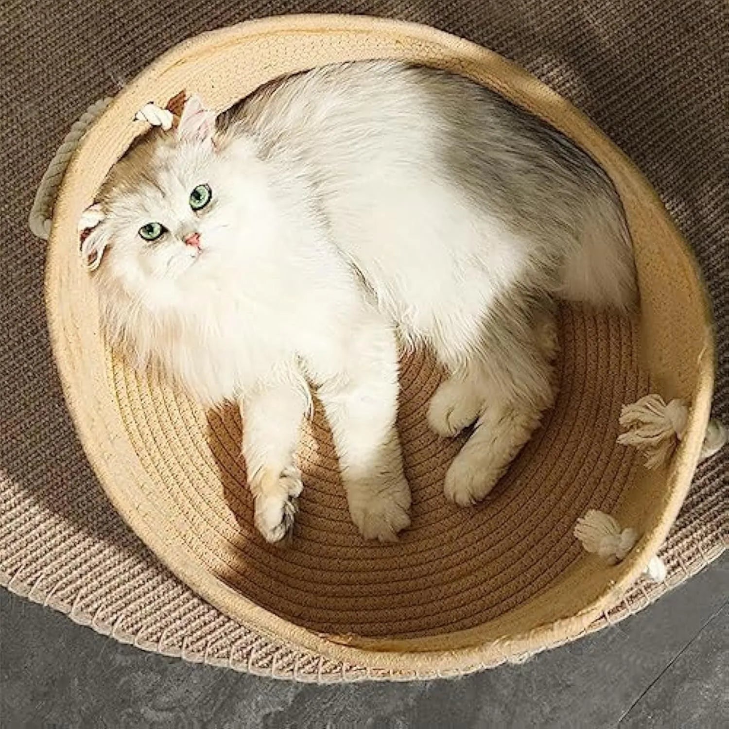 Wicker cat bed basket with built-in corrugated scratching board, shown in two available sizes for cats.