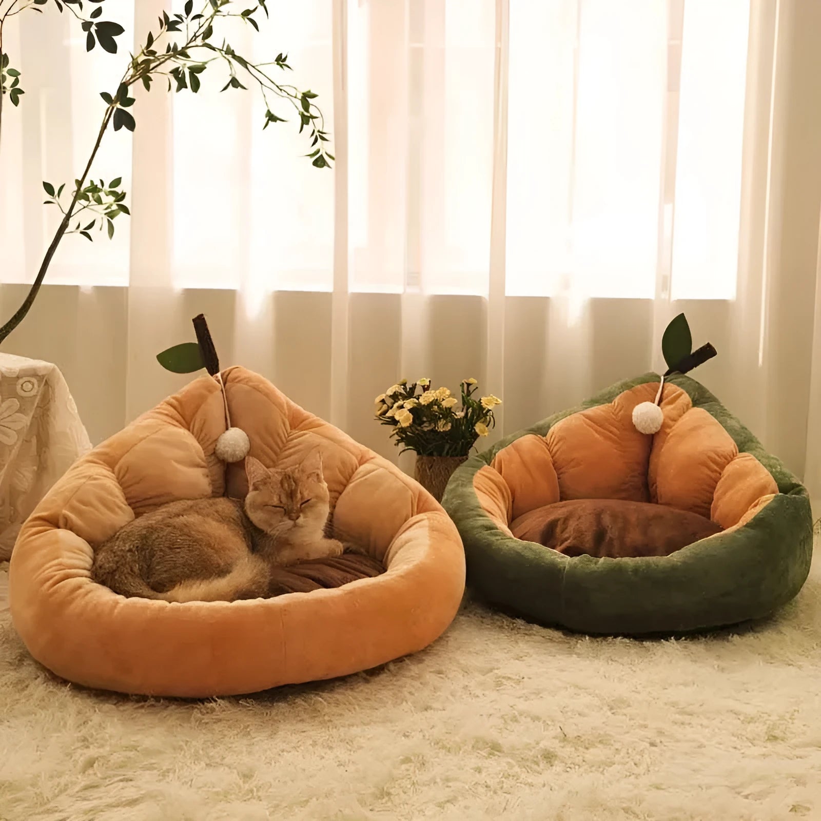 Oval pet bed with cotton cover and raised sides in coffee colour, shown with small cat