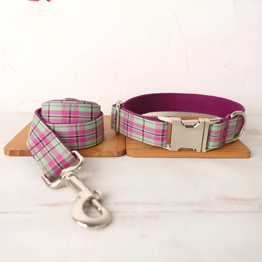Mint green polyester dog collar and leash combination set shown in five available sizes