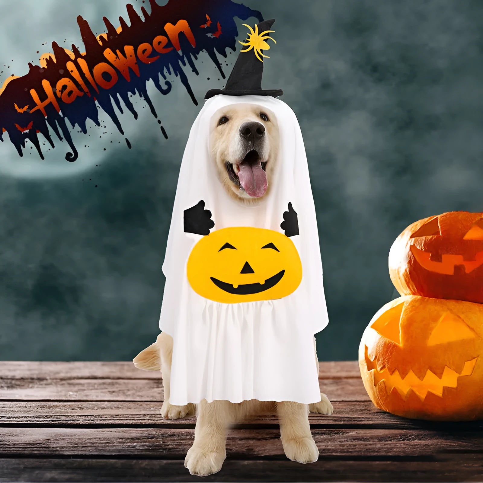 White pumpkin ghost Halloween dog costume for small medium large dogs