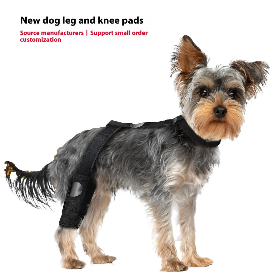 Neoprene dog knee brace support strap wrapped around canine hind leg in silver grey colour