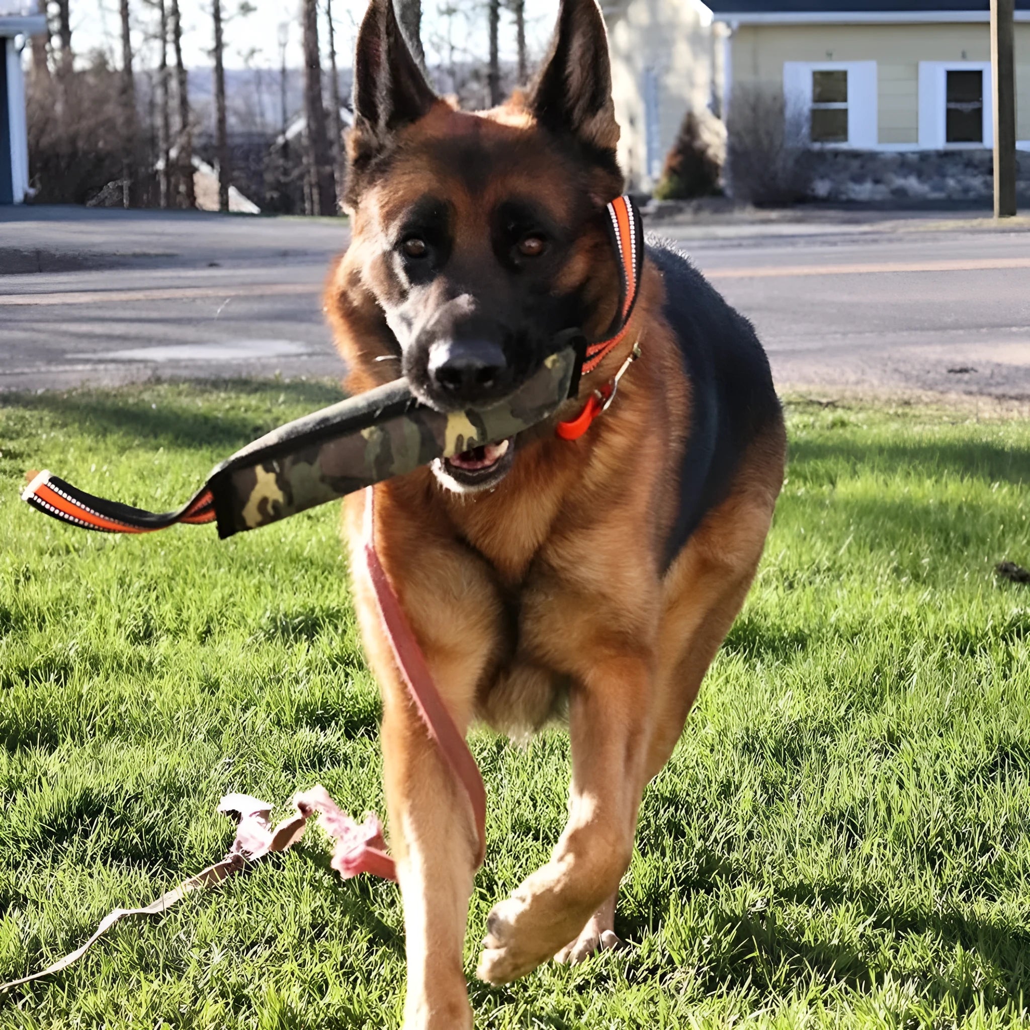 Natural jute dog training bite stick with yellow edge trim, approximately 55cm length
