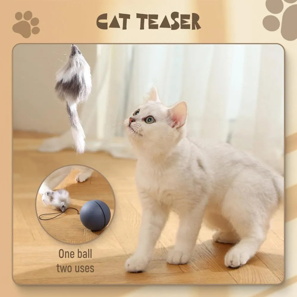 Automatic rolling interactive cat ball toy in grey and blue orange colour options