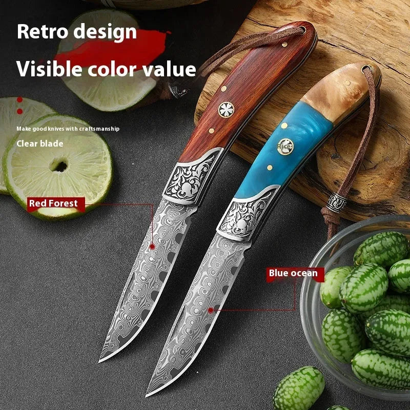 VG10 stainless steel folding pocket knife with dovetail locking mechanism in blue or red colour options