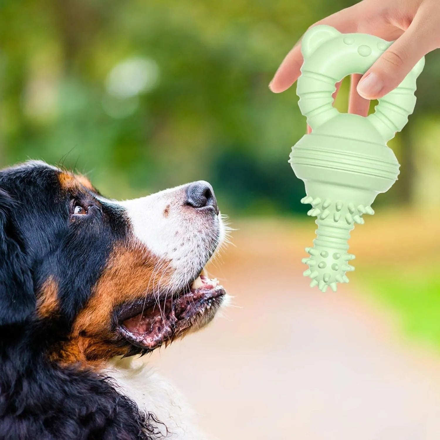 Blue rubber dog chew toy with molar-clean pattern and concave-convex teeth cleaning surface