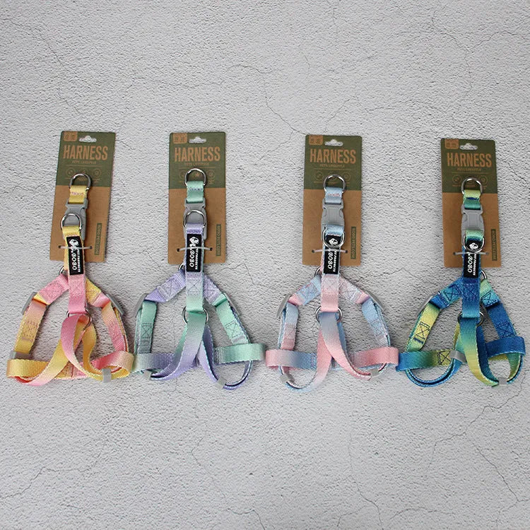 Gradient colour nylon dog leash set with collar or harness attachment options