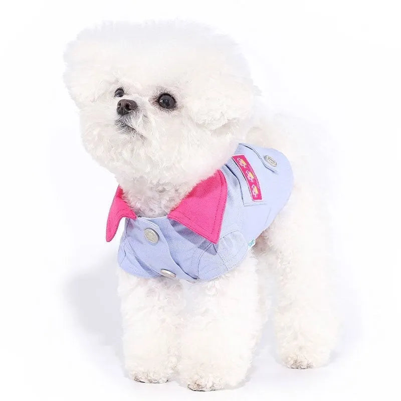 Blue and purple polyester vest for small dogs with rope rings on chest and back