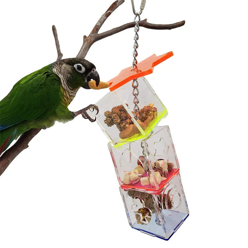 Clear acrylic bird foraging device measuring 5x5x32cm for parrot enrichment