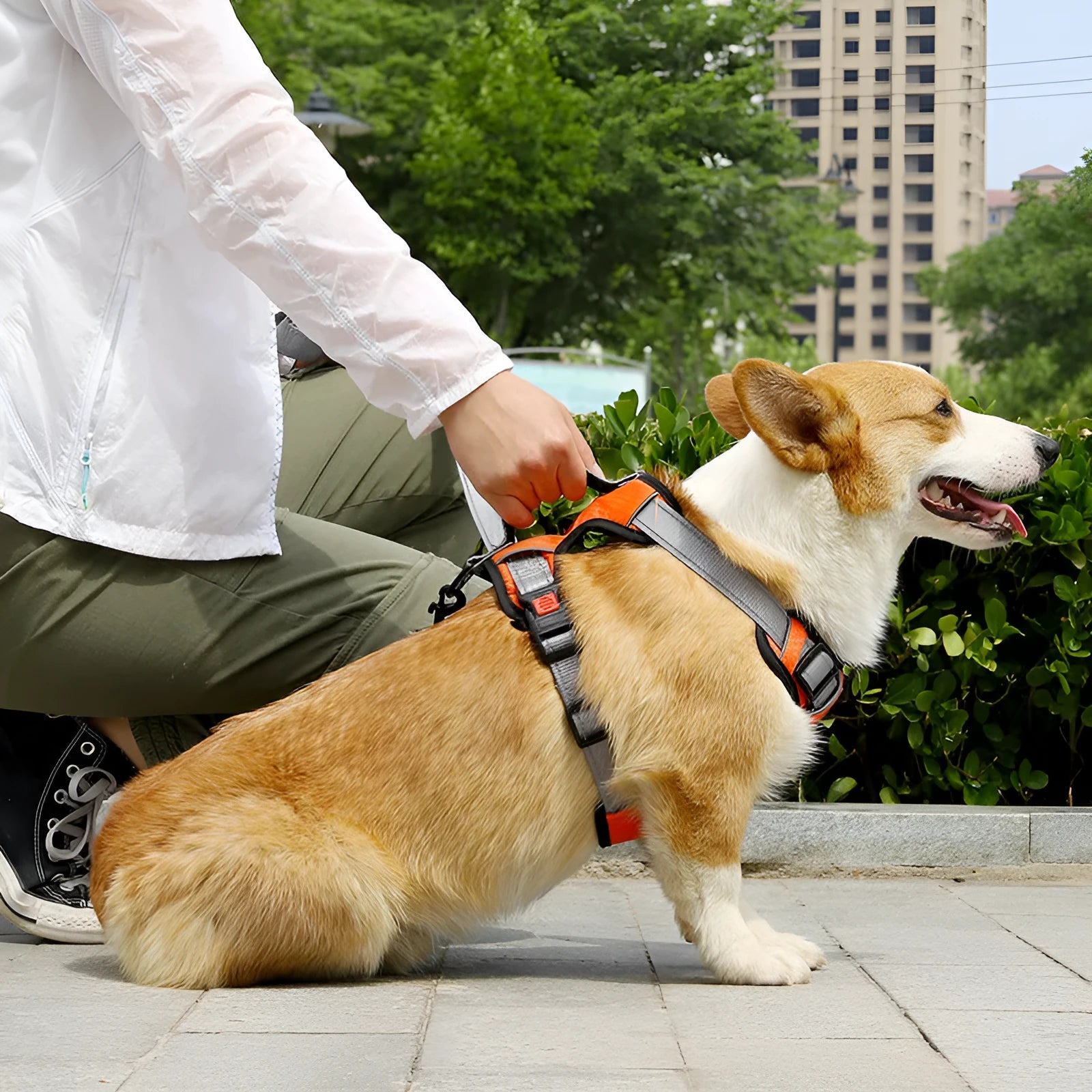 Polyester dog chest back harness with hand holding rope in various colours on size chart.